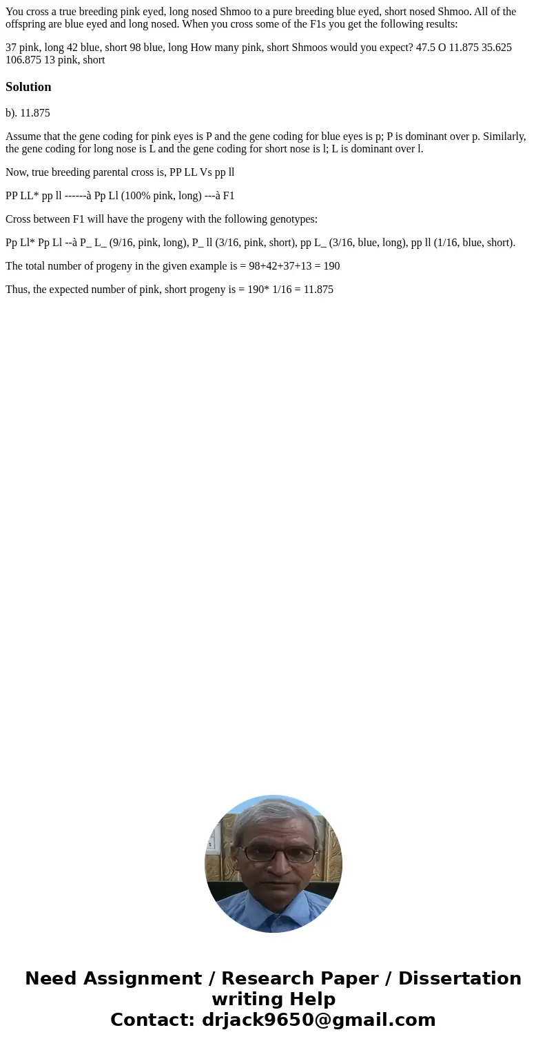 You cross a true breeding pink eyed, long nosed Shmoo to a pure breeding blue eyed, short nosed Shmoo. All of the offspring are blue eyed and long nosed. When y You cross a true breeding pink eyed, long nosed Shmoo to a pure breeding blue eyed, short nosed Shmoo. All of the offspring are blue eyed and long nosed. When y