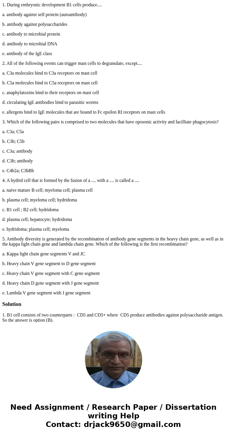 1. During embryonic development B1 cells produce.... a. antibody against self protein (autoantibody) b. antibody against polysaccharides c. antibody to microbia 1. During embryonic development B1 cells produce.... a. antibody against self protein (autoantibody) b. antibody against polysaccharides c. antibody to microbia