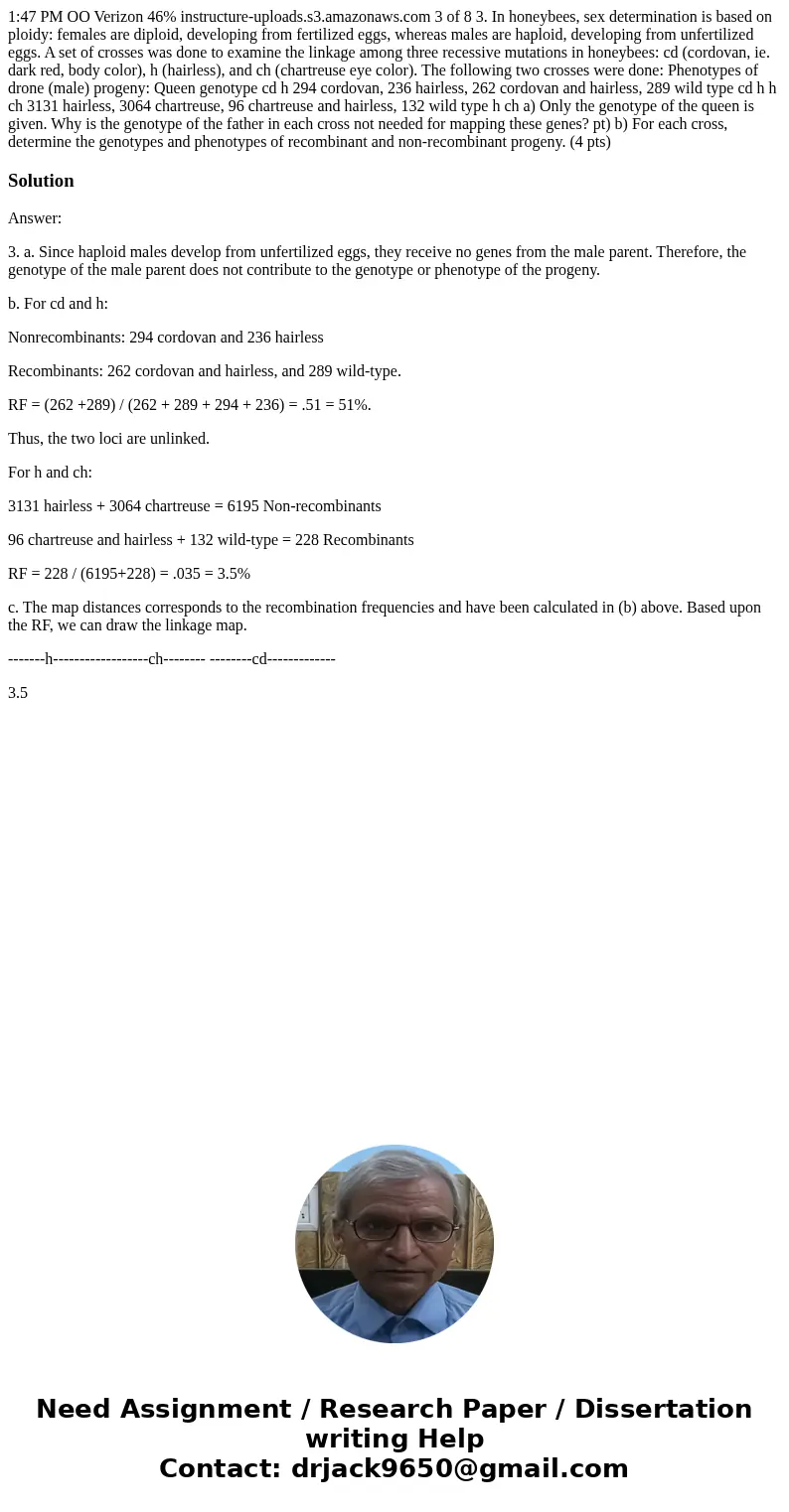 1:47 PM OO Verizon 46% instructure-uploads.s3.amazonaws.com 3 of 8 3. In honeybees, sex determination is based on ploidy: females are diploid, developing from   1:47 PM OO Verizon 46% instructure-uploads.s3.amazonaws.com 3 of 8 3. In honeybees, sex determination is based on ploidy: females are diploid, developing from