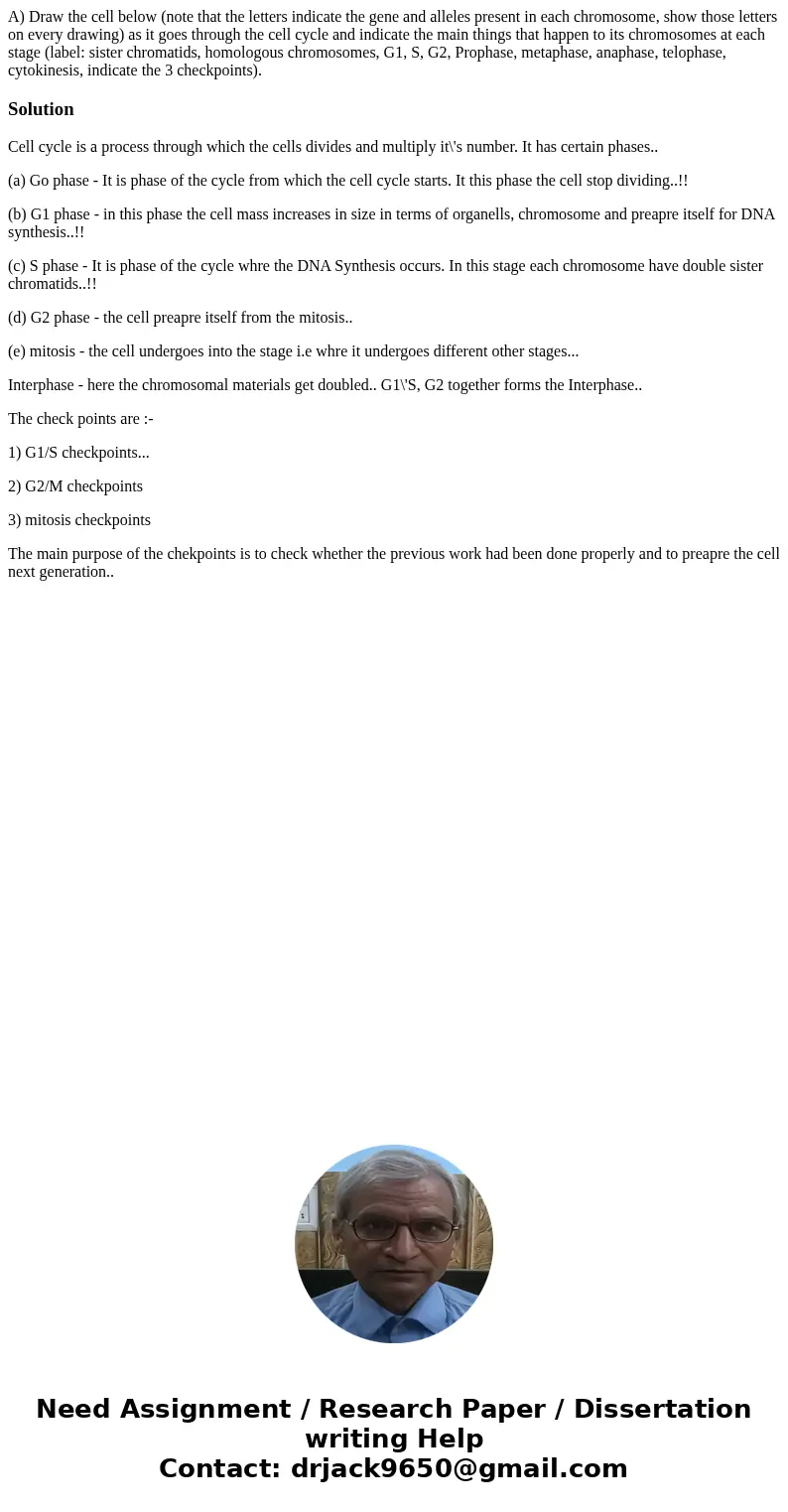 A) Draw the cell below (note that the letters indicate the gene and alleles present in each chromosome, show those letters on every drawing) as it goes through  A) Draw the cell below (note that the letters indicate the gene and alleles present in each chromosome, show those letters on every drawing) as it goes through
