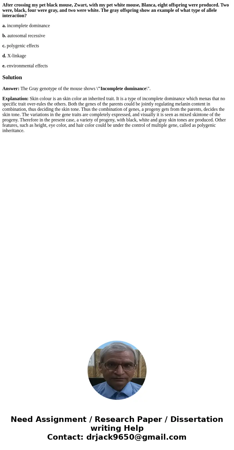 After crossing my pet black mouse, Zwart, with my pet white mouse, Blanca, eight offspring were produced. Two were, black, four were gray, and two were white. T After crossing my pet black mouse, Zwart, with my pet white mouse, Blanca, eight offspring were produced. Two were, black, four were gray, and two were white. T