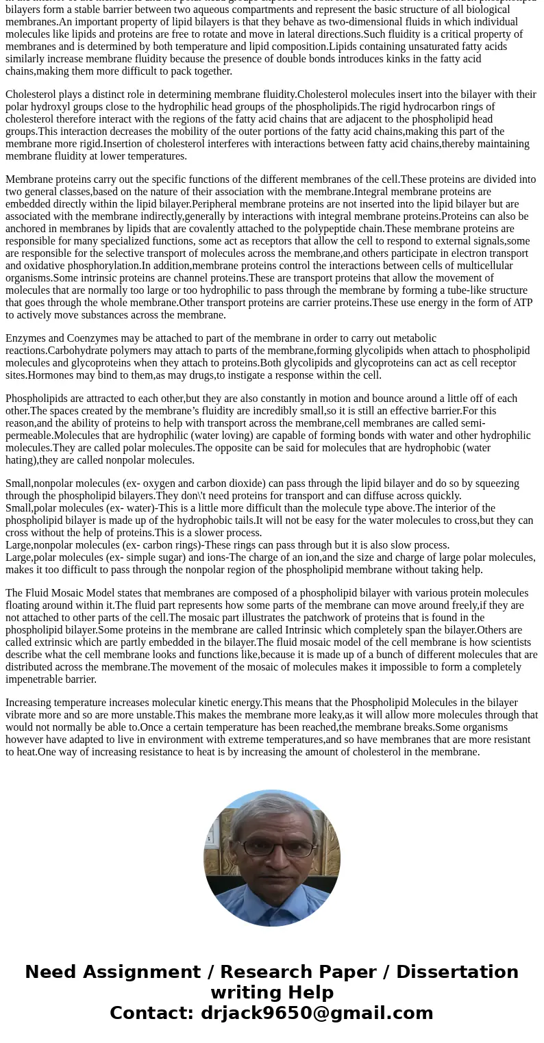 Describe the importance of the lipid bi-layer in terms of macromolecules which compose it. Focus particularly on the different types of molecules that facilitat Describe the importance of the lipid bi-layer in terms of macromolecules which compose it. Focus particularly on the different types of molecules that facilitat