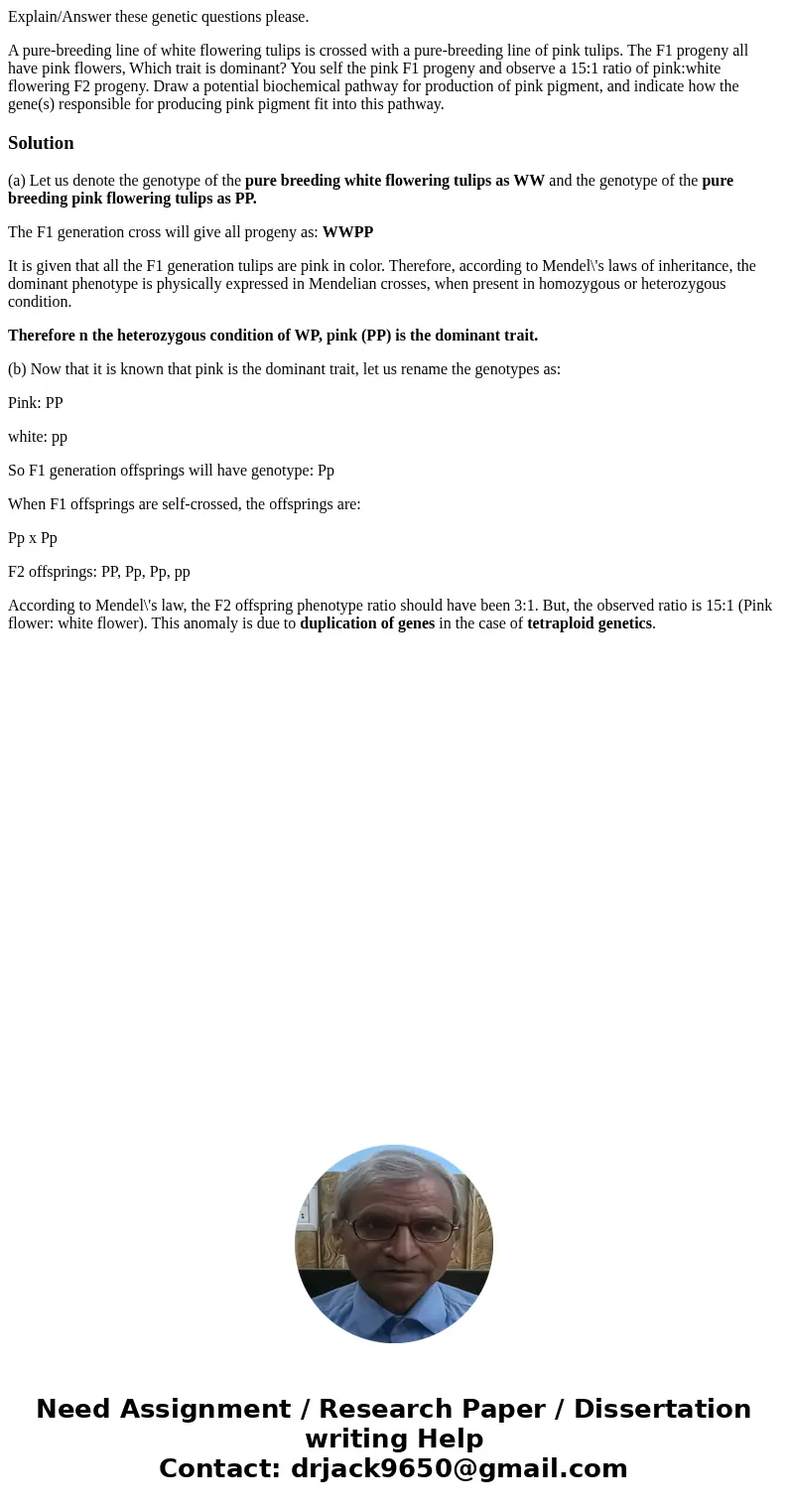 Explain/Answer these genetic questions please. A pure-breeding line of white flowering tulips is crossed with a pure-breeding line of pink tulips. The F1 progen Explain/Answer these genetic questions please. A pure-breeding line of white flowering tulips is crossed with a pure-breeding line of pink tulips. The F1 progen