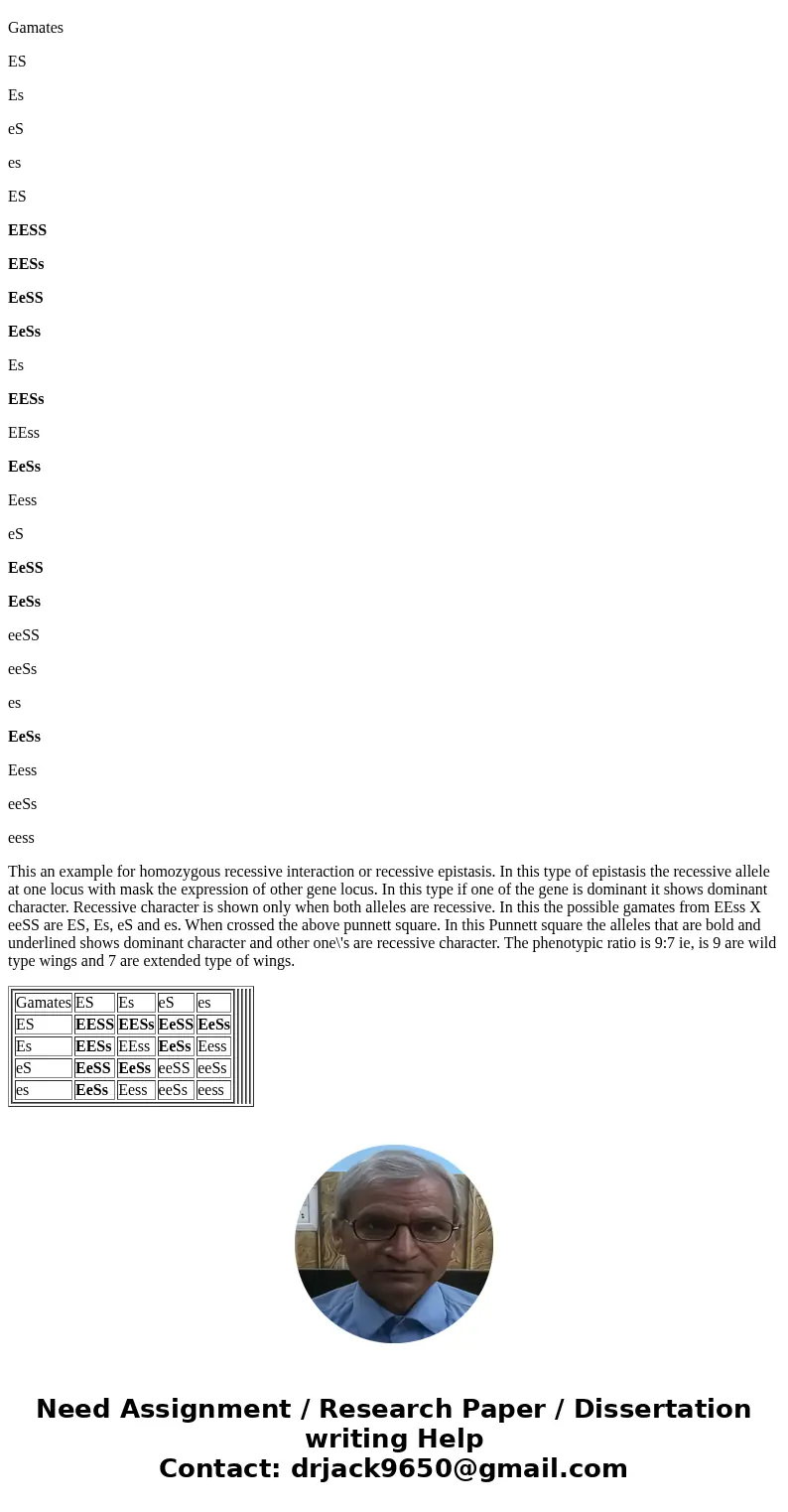 In flies, a recessive mutation in the E gene (e) causes wings to be extended longer than wild type. A mutation in a second unlinked recessive mutation in the S  In flies, a recessive mutation in the E gene (e) causes wings to be extended longer than wild type. A mutation in a second unlinked recessive mutation in the S