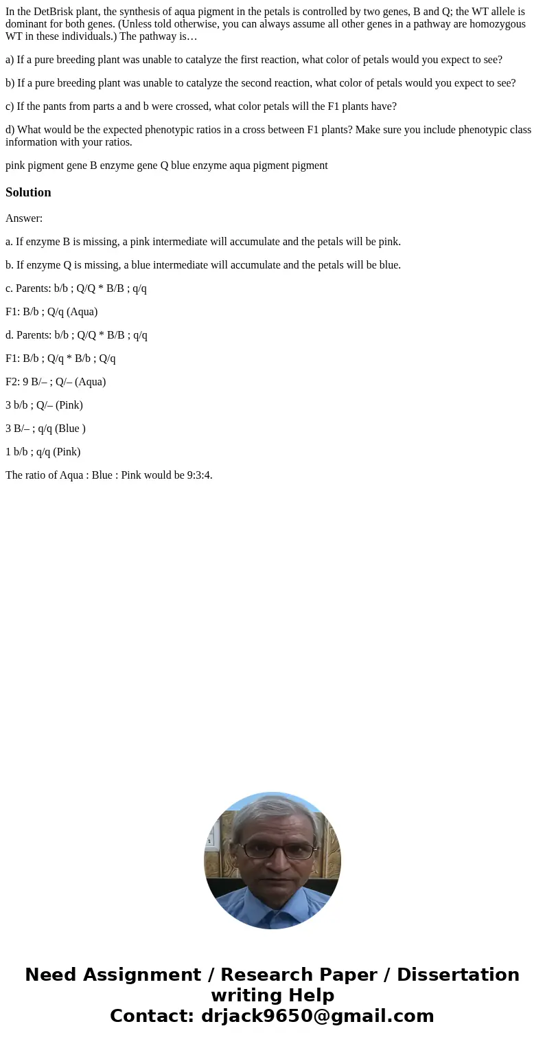 In the DetBrisk plant, the synthesis of aqua pigment in the petals is controlled by two genes, B and Q; the WT allele is dominant for both genes. (Unless told o In the DetBrisk plant, the synthesis of aqua pigment in the petals is controlled by two genes, B and Q; the WT allele is dominant for both genes. (Unless told o