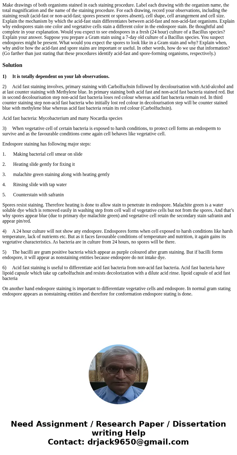 Make drawings of both organisms stained in each staining procedure. Label each drawing with the organism name, the total magnification and the name of the stai  Make drawings of both organisms stained in each staining procedure. Label each drawing with the organism name, the total magnification and the name of the stai
