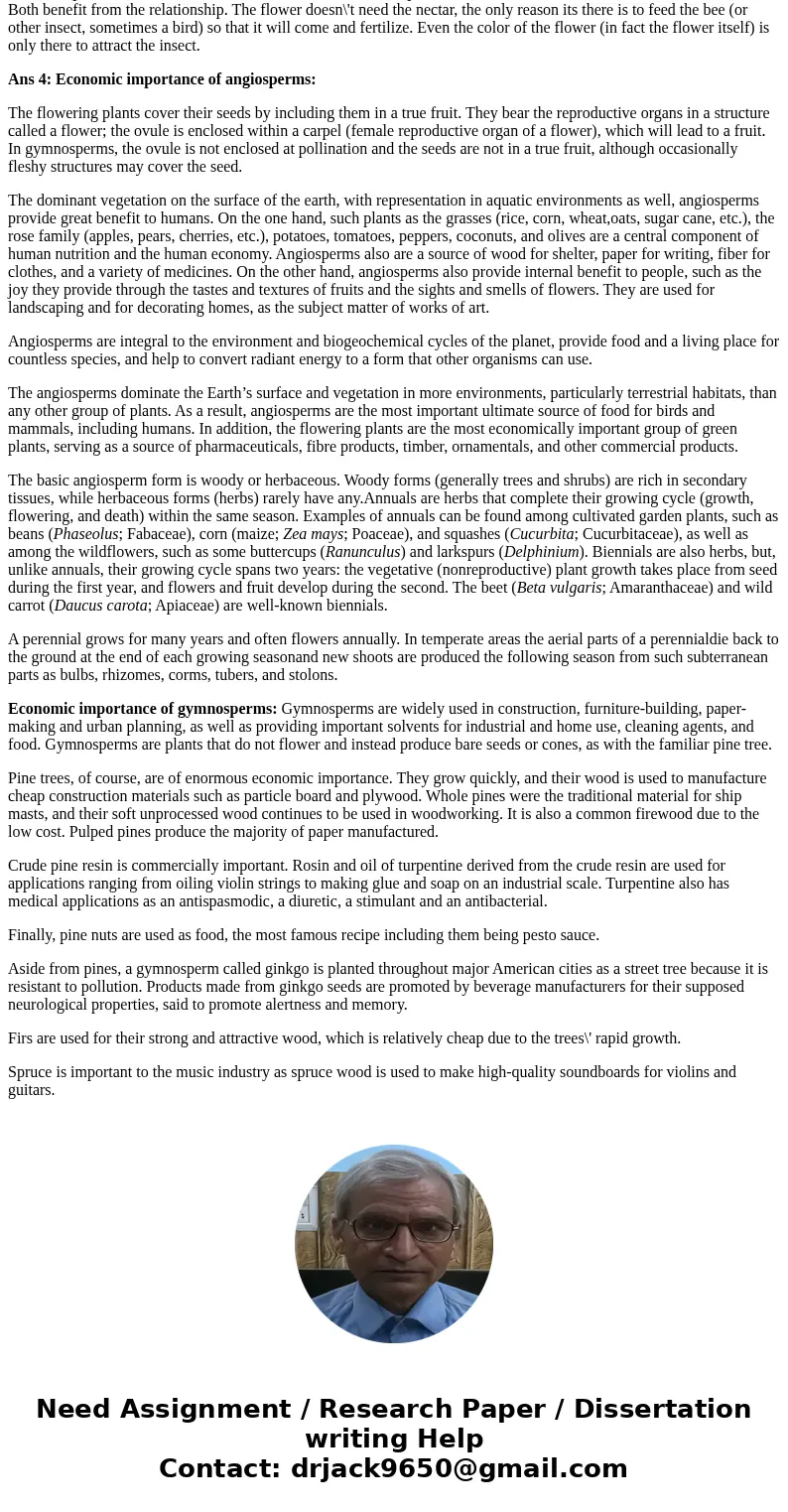 Plant Diversity II – Seed Plants 1. Explain how the rise in prominence of one major group (angiosperms, for example) does not necessarily result in the total re