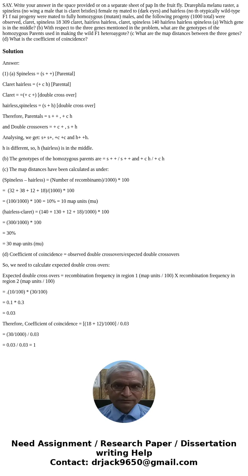 SAY. Write your answer in the space provided or on a separate sheet of pap In the fruit fly. Drarephila melanu raster, a spineless (no wing a male that is clar  SAY. Write your answer in the space provided or on a separate sheet of pap In the fruit fly. Drarephila melanu raster, a spineless (no wing a male that is clar