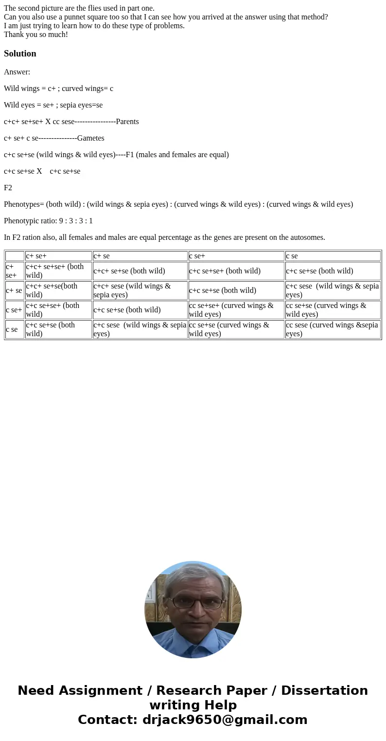 The second picture are the flies used in part one. Can you also use a punnet square too so that I can see how you arrived at the answer using that method? I am  The second picture are the flies used in part one. Can you also use a punnet square too so that I can see how you arrived at the answer using that method? I am