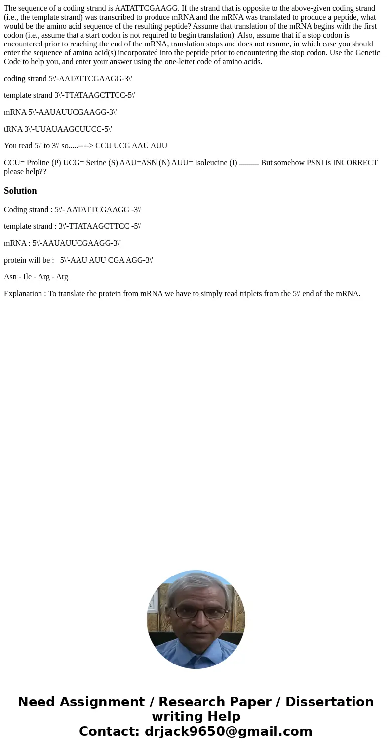 The sequence of a coding strand is AATATTCGAAGG. If the strand that is opposite to the above-given coding strand (i.e., the template strand) was transcribed to  The sequence of a coding strand is AATATTCGAAGG. If the strand that is opposite to the above-given coding strand (i.e., the template strand) was transcribed to