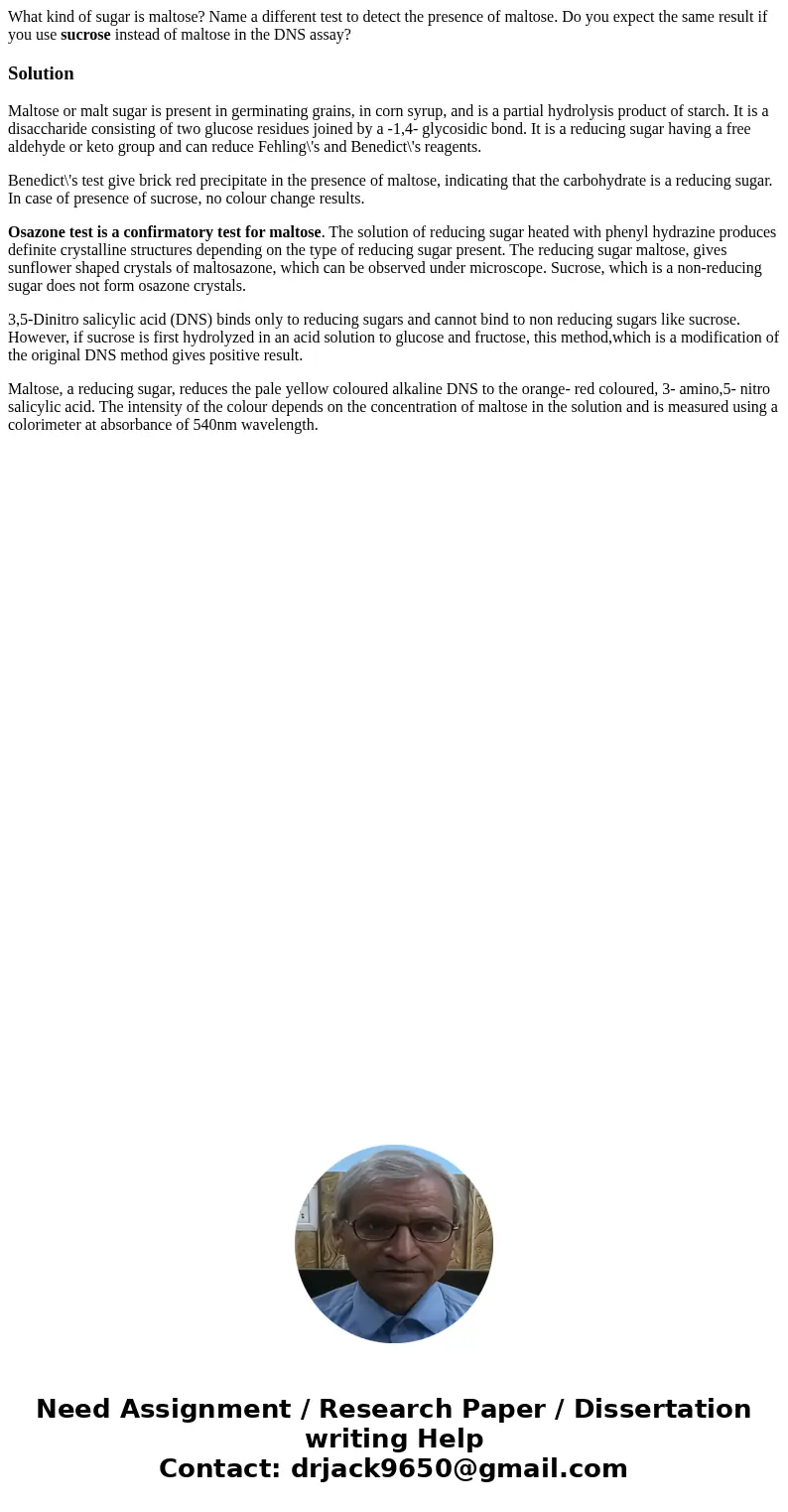 What kind of sugar is maltose? Name a different test to detect the presence of maltose. Do you expect the same result if you use sucrose instead of maltose in t What kind of sugar is maltose? Name a different test to detect the presence of maltose. Do you expect the same result if you use sucrose instead of maltose in t