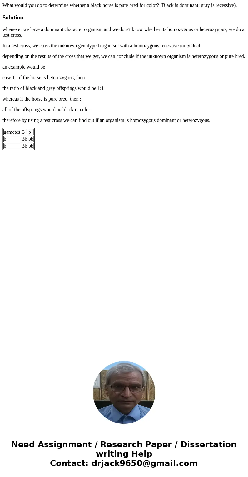 What would you do to determine whether a black horse is pure bred for color? (Black is dominant; gray is recessive).Solutionwhenever we have a dominant charact  What would you do to determine whether a black horse is pure bred for color? (Black is dominant; gray is recessive).Solutionwhenever we have a dominant charact