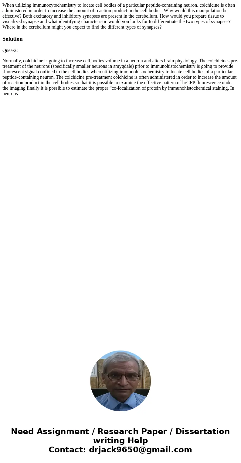 When utilizing immunocytochemistry to locate cell bodies of a particular peptide-containing neuron, colchicine is often administered in order to increase the a  When utilizing immunocytochemistry to locate cell bodies of a particular peptide-containing neuron, colchicine is often administered in order to increase the a