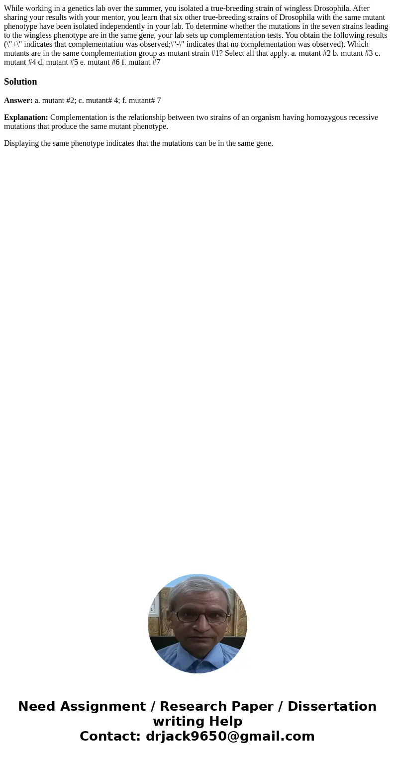 While working in a genetics lab over the summer, you isolated a true-breeding strain of wingless Drosophila. After sharing your results with your mentor, you l  While working in a genetics lab over the summer, you isolated a true-breeding strain of wingless Drosophila. After sharing your results with your mentor, you l