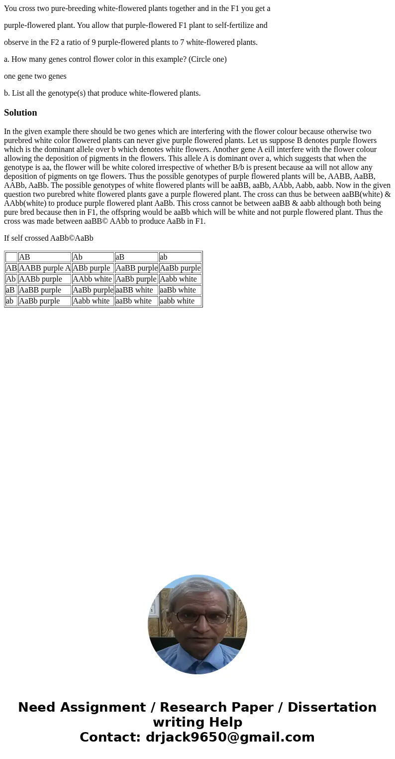 You cross two pure-breeding white-flowered plants together and in the F1 you get a purple-flowered plant. You allow that purple-flowered F1 plant to self-fertil You cross two pure-breeding white-flowered plants together and in the F1 you get a purple-flowered plant. You allow that purple-flowered F1 plant to self-fertil