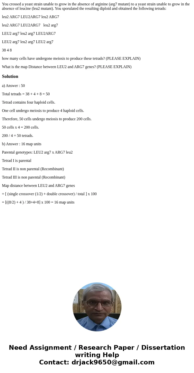 You crossed a yeast strain unable to grow in the absence of arginine (arg7 mutant) to a yeast strain unable to grow in the absence of leucine (leu2 mutant). You You crossed a yeast strain unable to grow in the absence of arginine (arg7 mutant) to a yeast strain unable to grow in the absence of leucine (leu2 mutant). You