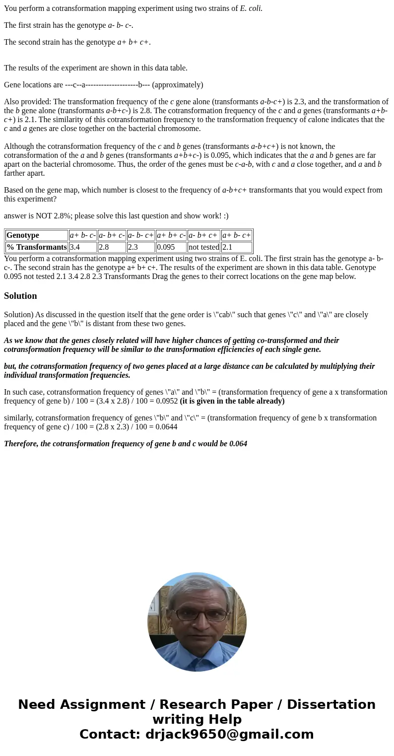 You perform a cotransformation mapping experiment using two strains of E. coli. The first strain has the genotype a- b- c-. The second strain has the genotype a You perform a cotransformation mapping experiment using two strains of E. coli. The first strain has the genotype a- b- c-. The second strain has the genotype a