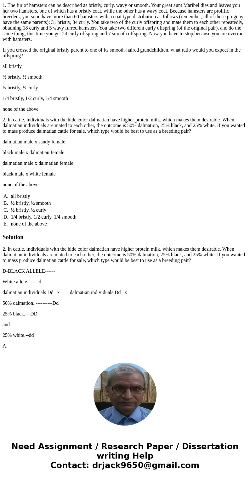 1. The fur of hamsters can be described as bristly, curly, wavy or smooth. Your great aunt Maribel dies and leaves you her two hamsters, one of which has a bris 1. The fur of hamsters can be described as bristly, curly, wavy or smooth. Your great aunt Maribel dies and leaves you her two hamsters, one of which has a bris