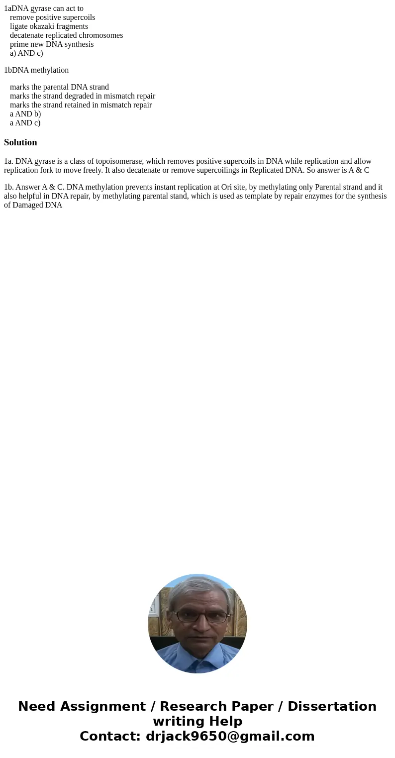 1aDNA gyrase can act to remove positive supercoils ligate okazaki fragments decatenate replicated chromosomes prime new DNA synthesis a) AND c) 1bDNA methylatio 1aDNA gyrase can act to remove positive supercoils ligate okazaki fragments decatenate replicated chromosomes prime new DNA synthesis a) AND c) 1bDNA methylatio