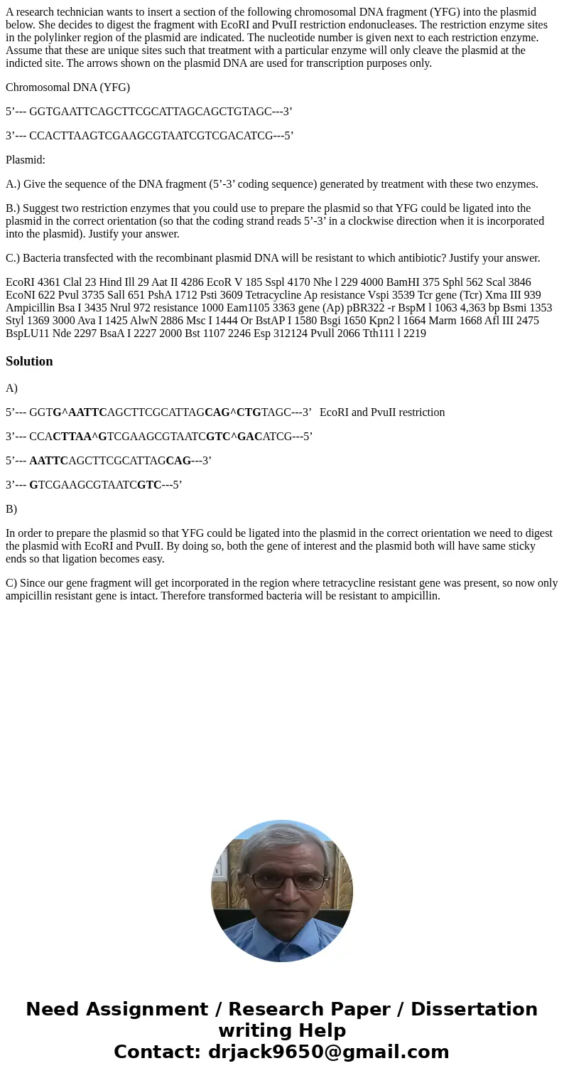 A research technician wants to insert a section of the following chromosomal DNA fragment (YFG) into the plasmid below. She decides to digest the fragment with  A research technician wants to insert a section of the following chromosomal DNA fragment (YFG) into the plasmid below. She decides to digest the fragment with