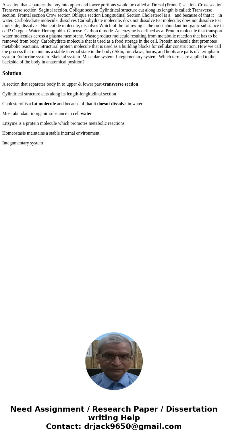 A section that separates the boy into upper and lower portions would be called a: Dorsal (Frontal) section. Cross section. Transverse section. Sagittal section  A section that separates the boy into upper and lower portions would be called a: Dorsal (Frontal) section. Cross section. Transverse section. Sagittal section