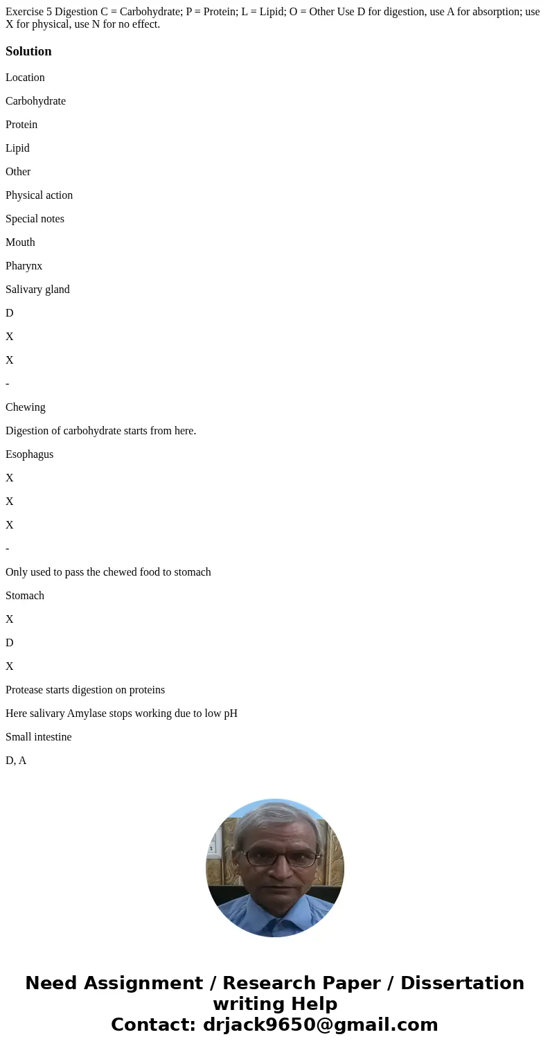 Exercise 5 Digestion C = Carbohydrate; P = Protein; L = Lipid; O = Other Use D for digestion, use A for absorption; use X for physical, use N for no effect.Sol  Exercise 5 Digestion C = Carbohydrate; P = Protein; L = Lipid; O = Other Use D for digestion, use A for absorption; use X for physical, use N for no effect.Sol