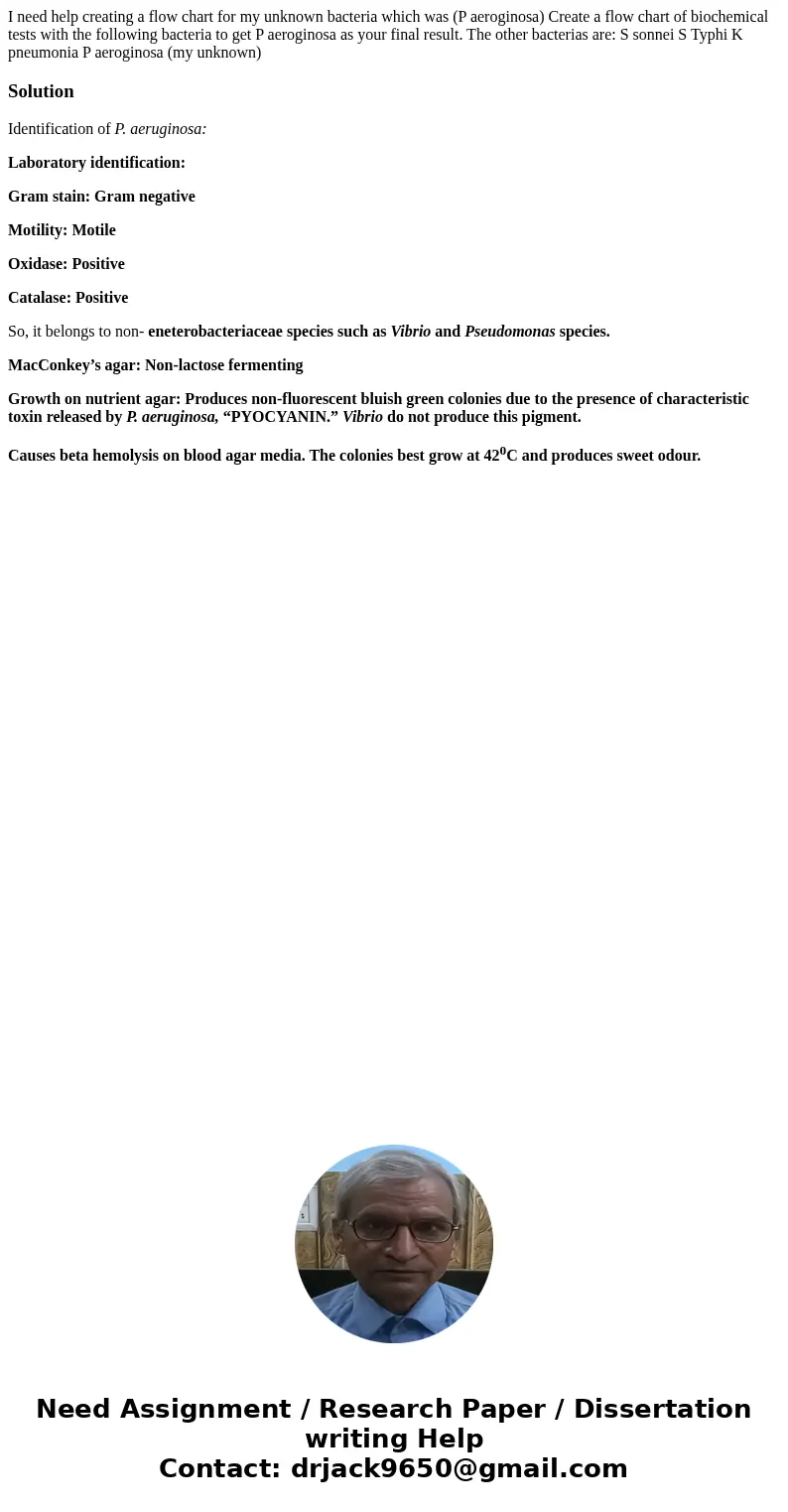 I need help creating a flow chart for my unknown bacteria which was (P aeroginosa) Create a flow chart of biochemical tests with the following bacteria to get P I need help creating a flow chart for my unknown bacteria which was (P aeroginosa) Create a flow chart of biochemical tests with the following bacteria to get P