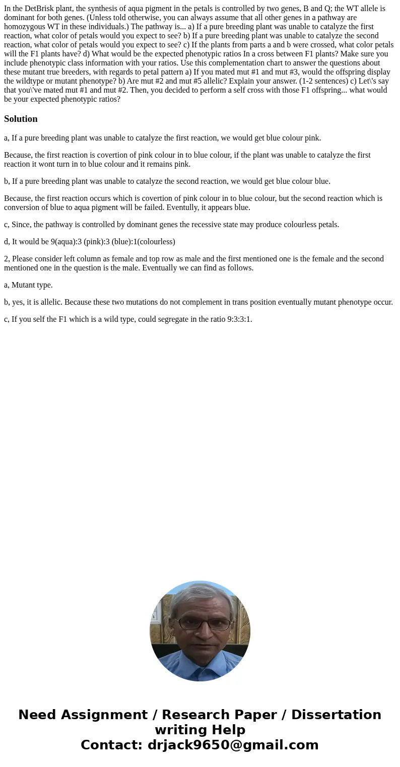In the DetBrisk plant, the synthesis of aqua pigment in the petals is controlled by two genes, B and Q; the WT allele is dominant for both genes. (Unless told   In the DetBrisk plant, the synthesis of aqua pigment in the petals is controlled by two genes, B and Q; the WT allele is dominant for both genes. (Unless told