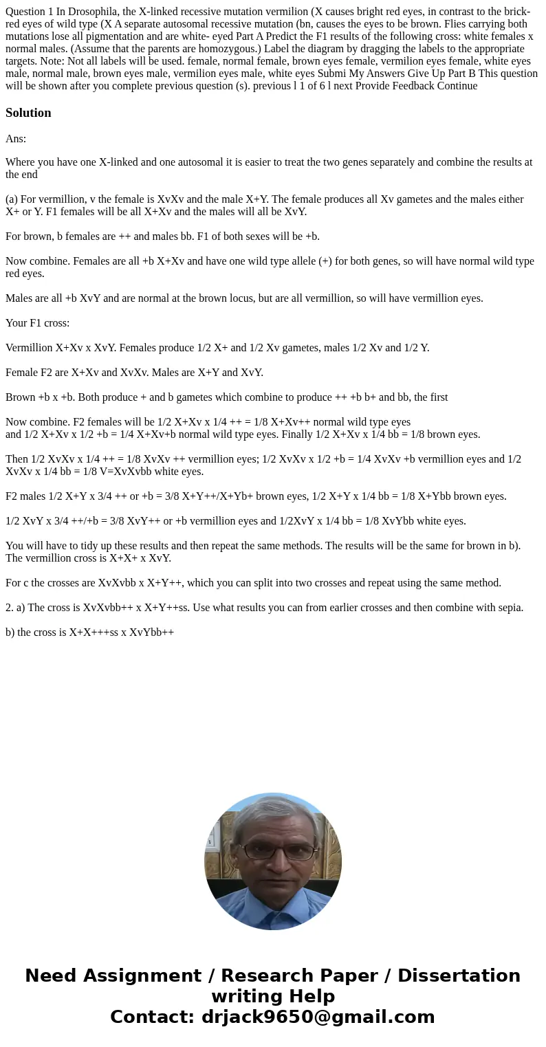 Question 1 In Drosophila, the X-linked recessive mutation vermilion (X causes bright red eyes, in contrast to the brick-red eyes of wild type (X A separate aut  Question 1 In Drosophila, the X-linked recessive mutation vermilion (X causes bright red eyes, in contrast to the brick-red eyes of wild type (X A separate aut