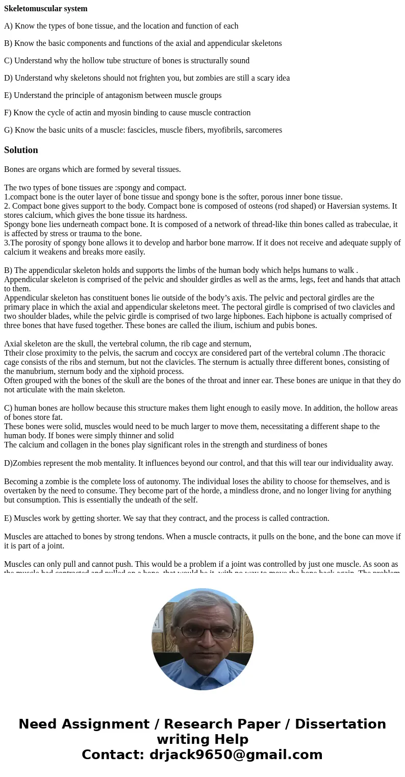 Skeletomuscular system A) Know the types of bone tissue, and the location and function of each B) Know the basic components and functions of the axial and appen Skeletomuscular system A) Know the types of bone tissue, and the location and function of each B) Know the basic components and functions of the axial and appen