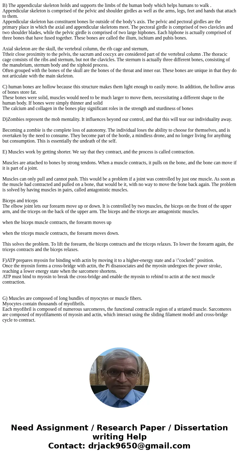 Skeletomuscular system A) Know the types of bone tissue, and the location and function of each B) Know the basic components and functions of the axial and appen Skeletomuscular system A) Know the types of bone tissue, and the location and function of each B) Know the basic components and functions of the axial and appen