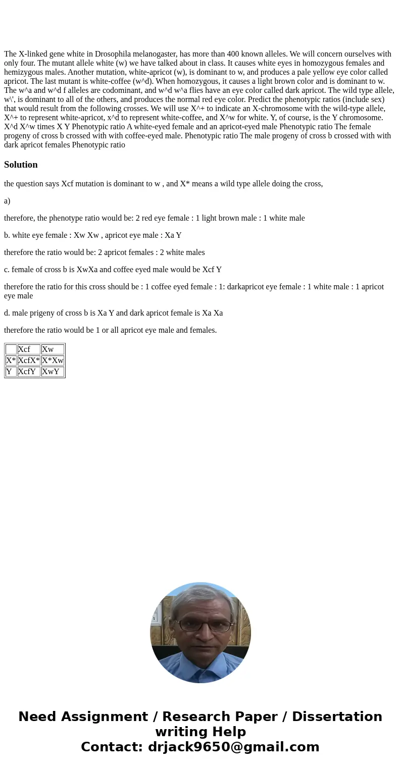  The X-linked gene white in Drosophila melanogaster, has more than 400 known alleles. We will concern ourselves with only four. The mutant allele white (w) we h
