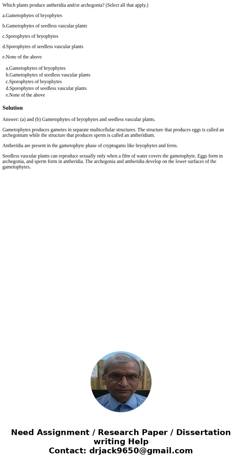 Which plants produce antheridia and/or archegonia? (Select all that apply.) a.Gametophytes of bryophytes b.Gametophytes of seedless vascular plants c.Sporophyte Which plants produce antheridia and/or archegonia? (Select all that apply.) a.Gametophytes of bryophytes b.Gametophytes of seedless vascular plants c.Sporophyte