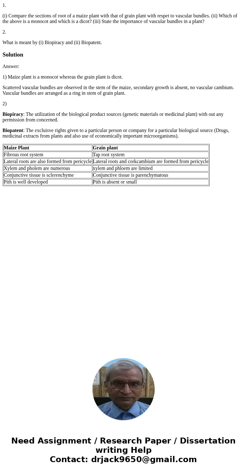 1. (i) Compare the sections of root of a maize plant with that of grain plant with respet to vascular bundles. (ii) Which of the above is a monocot and which is 1. (i) Compare the sections of root of a maize plant with that of grain plant with respet to vascular bundles. (ii) Which of the above is a monocot and which is