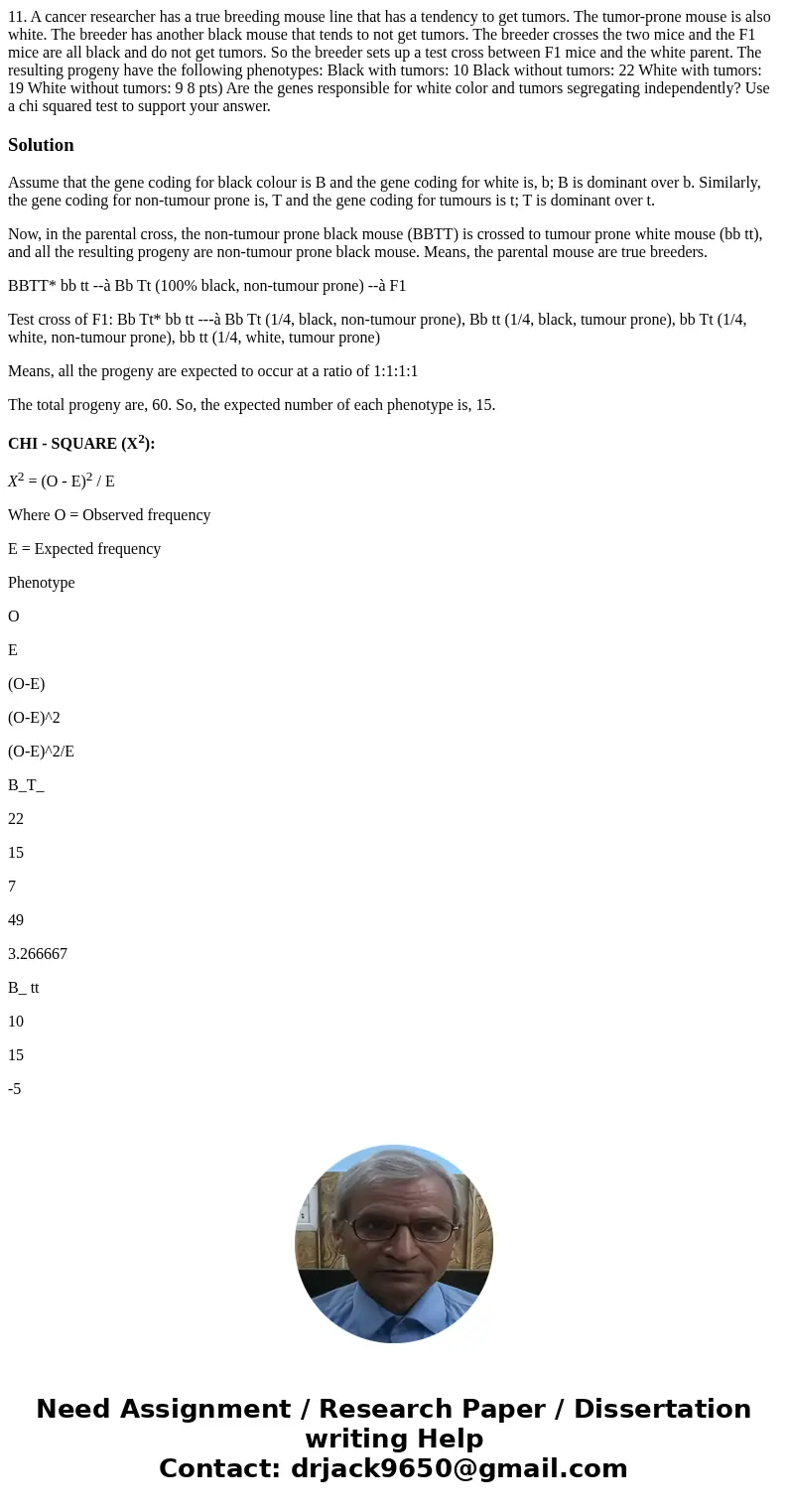 11. A cancer researcher has a true breeding mouse line that has a tendency to get tumors. The tumor-prone mouse is also white. The breeder has another black mo  11. A cancer researcher has a true breeding mouse line that has a tendency to get tumors. The tumor-prone mouse is also white. The breeder has another black mo