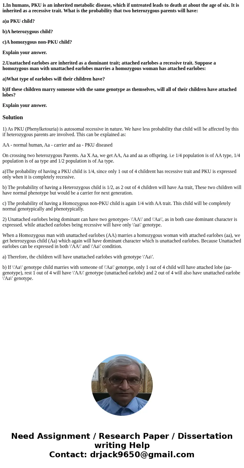 1.In humans, PKU is an inherited metabolic disease, which if untreated leads to death at about the age of six. It is inherited as a recessive trait. What is the 1.In humans, PKU is an inherited metabolic disease, which if untreated leads to death at about the age of six. It is inherited as a recessive trait. What is the
