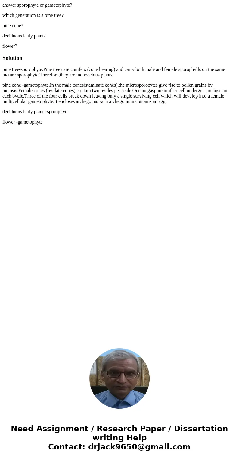 answer sporophyte or gametophyte? which generation is a pine tree? pine cone? deciduous leafy plant? flower?Solutionpine tree-sporophyte.Pine trees are conifers answer sporophyte or gametophyte? which generation is a pine tree? pine cone? deciduous leafy plant? flower?Solutionpine tree-sporophyte.Pine trees are conifers