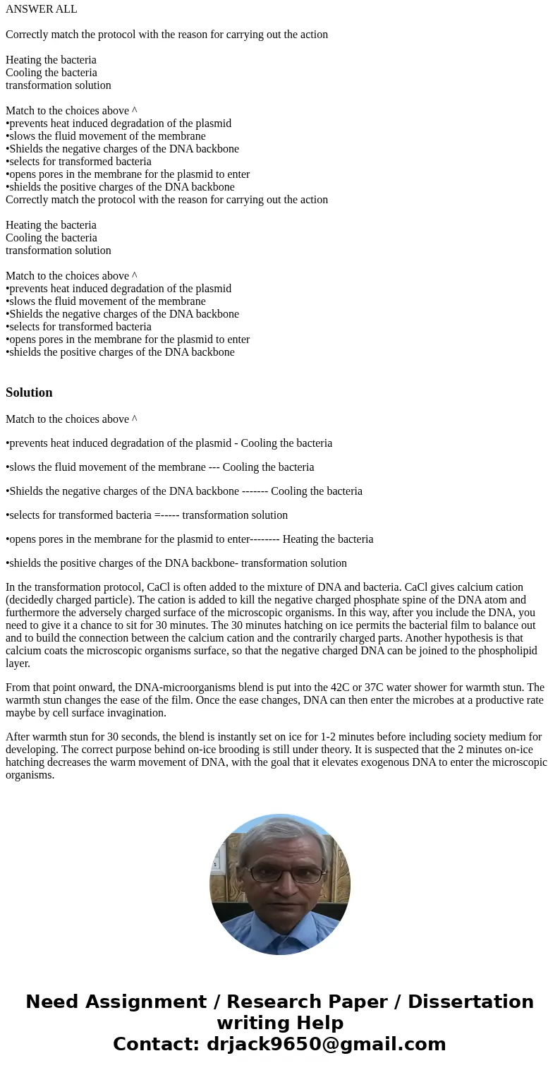 BIO: cell and molecular ANSWER ALL Correctly match the protocol with the reason for carrying out the action Heating the bacteria Cooling the bacteria transform  BIO: cell and molecular ANSWER ALL Correctly match the protocol with the reason for carrying out the action Heating the bacteria Cooling the bacteria transform