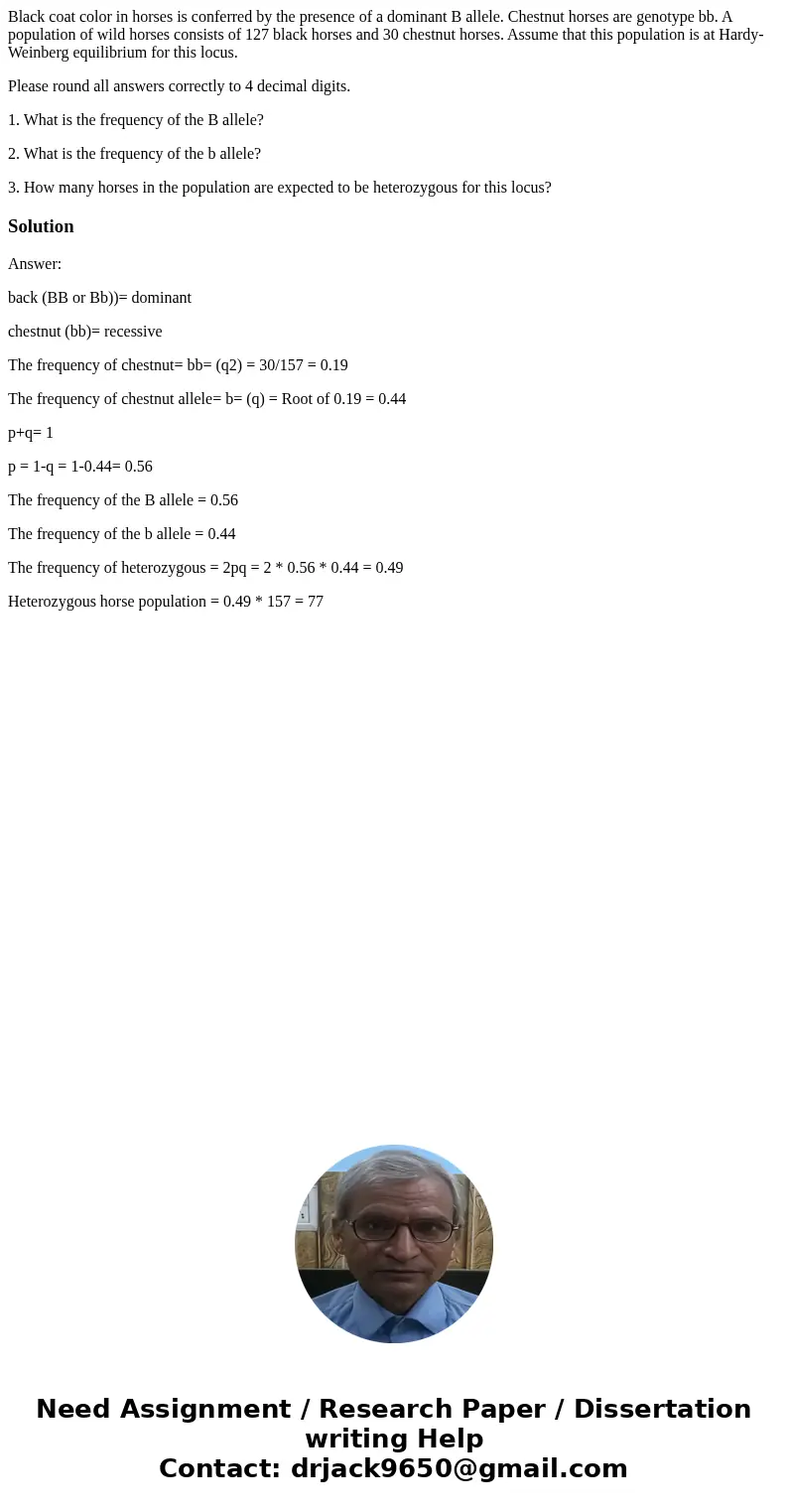 Black coat color in horses is conferred by the presence of a dominant B allele. Chestnut horses are genotype bb. A population of wild horses consists of 127 bla Black coat color in horses is conferred by the presence of a dominant B allele. Chestnut horses are genotype bb. A population of wild horses consists of 127 bla