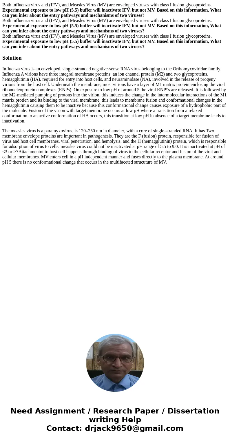 Both influenza virus and (IFV), and Measles Virus (MV) are enveloped viruses with class I fusion glycoproteins. Experimental exposure to low pH (5.5) buffer wi  Both influenza virus and (IFV), and Measles Virus (MV) are enveloped viruses with class I fusion glycoproteins. Experimental exposure to low pH (5.5) buffer wi