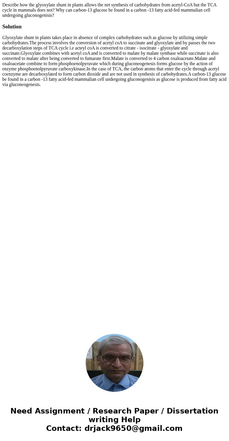 Describe how the glyoxylate shunt in plants allows the net synthesis of carbohydrates from acetyl-CoA but the TCA cycle in mammals does not? Why can carbon-13 g Describe how the glyoxylate shunt in plants allows the net synthesis of carbohydrates from acetyl-CoA but the TCA cycle in mammals does not? Why can carbon-13 g