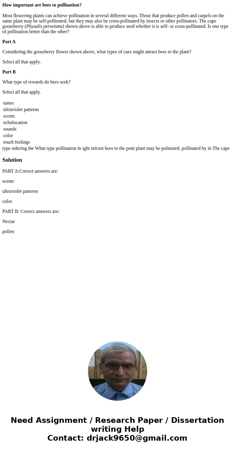 How important are bees to pollination? Most flowering plants can achieve pollination in several different ways. Those that produce pollen and carpels on the sam How important are bees to pollination? Most flowering plants can achieve pollination in several different ways. Those that produce pollen and carpels on the sam