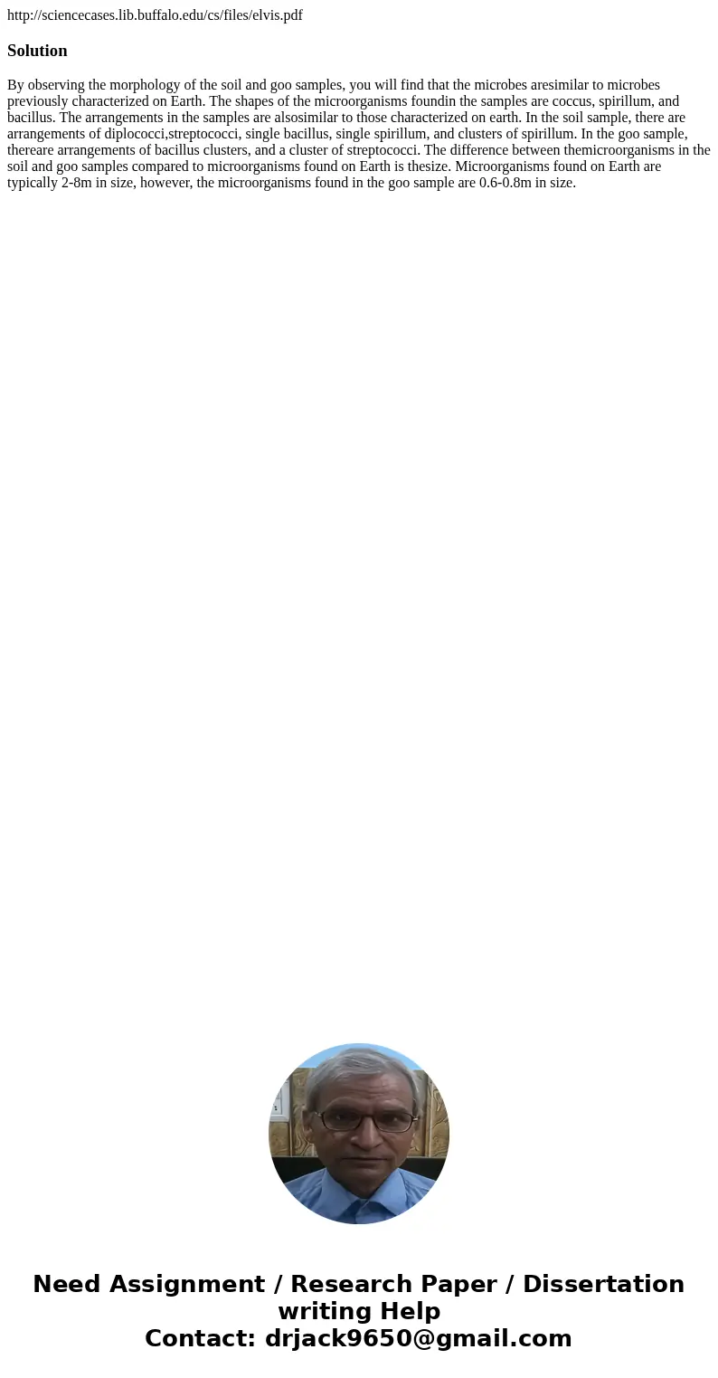 http://sciencecases.lib.buffalo.edu/cs/files/elvis.pdfSolutionBy observing the morphology of the soil and goo samples, you will find that the microbes aresimila http://sciencecases.lib.buffalo.edu/cs/files/elvis.pdfSolutionBy observing the morphology of the soil and goo samples, you will find that the microbes aresimila