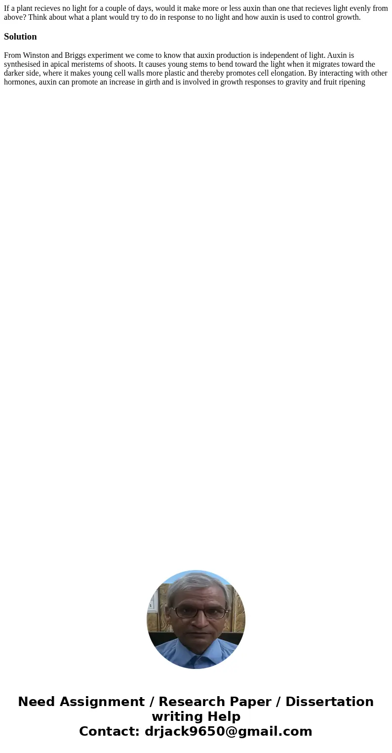 If a plant recieves no light for a couple of days, would it make more or less auxin than one that recieves light evenly from above? Think about what a plant wou If a plant recieves no light for a couple of days, would it make more or less auxin than one that recieves light evenly from above? Think about what a plant wou
