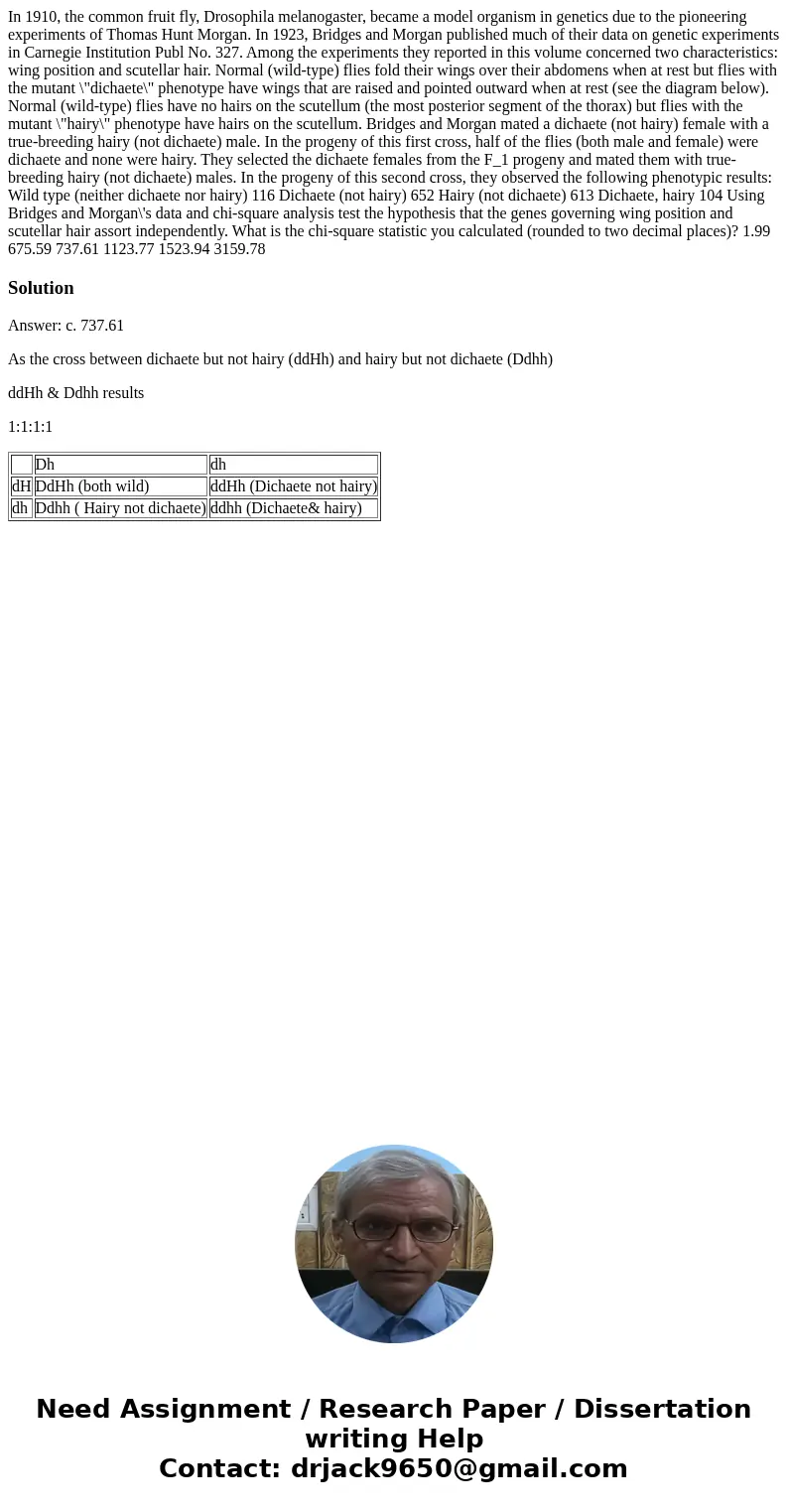 In 1910, the common fruit fly, Drosophila melanogaster, became a model organism in genetics due to the pioneering experiments of Thomas Hunt Morgan. In 1923, B  In 1910, the common fruit fly, Drosophila melanogaster, became a model organism in genetics due to the pioneering experiments of Thomas Hunt Morgan. In 1923, B