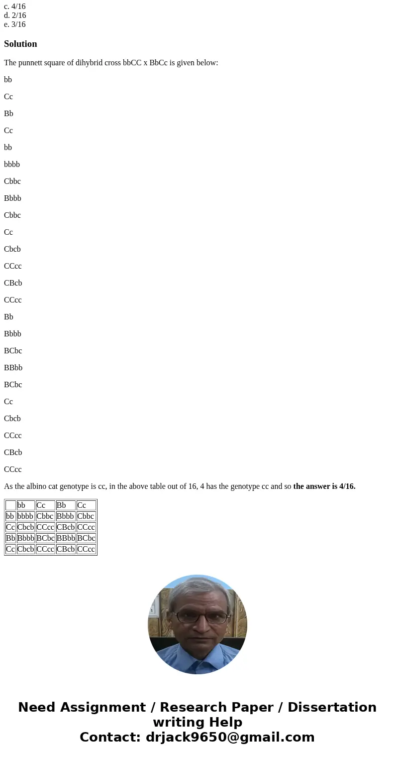 In cats, gene 1 specifies coat color; allele B leads to black coat while allele b leads to chocolate coat color. Gene 2 can inhibit coat color: genotype cc lead In cats, gene 1 specifies coat color; allele B leads to black coat while allele b leads to chocolate coat color. Gene 2 can inhibit coat color: genotype cc lead