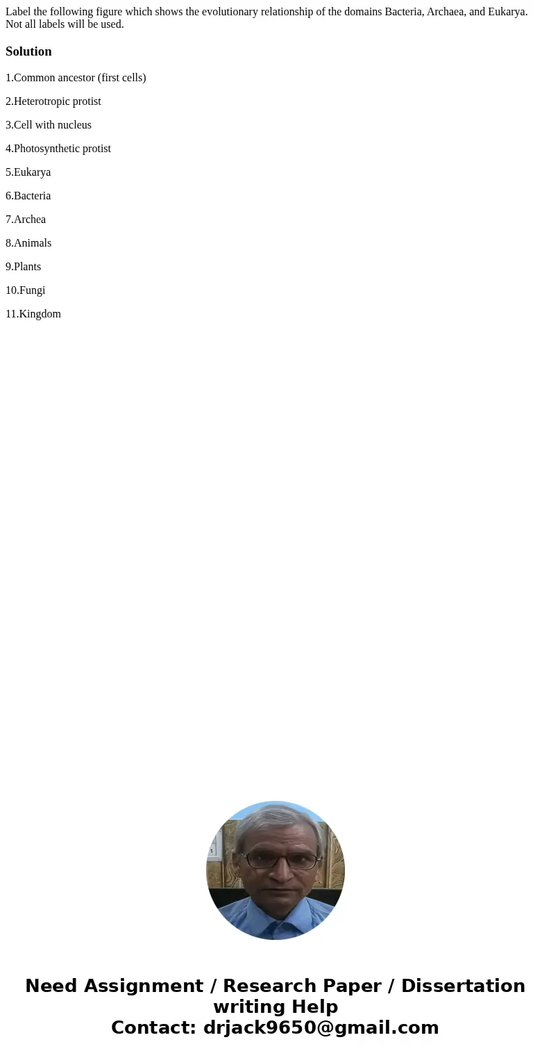 Label the following figure which shows the evolutionary relationship of the domains Bacteria, Archaea, and Eukarya. Not all labels will be used.Solution1.Commo  Label the following figure which shows the evolutionary relationship of the domains Bacteria, Archaea, and Eukarya. Not all labels will be used.Solution1.Commo