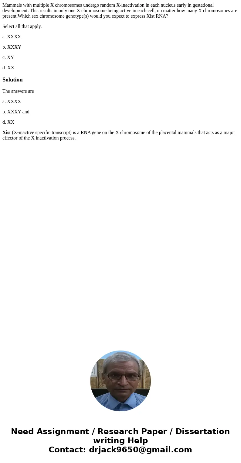 Mammals with multiple X chromosomes undergo random X-inactivation in each nucleus early in gestational development. This results in only one X chromosome being  Mammals with multiple X chromosomes undergo random X-inactivation in each nucleus early in gestational development. This results in only one X chromosome being