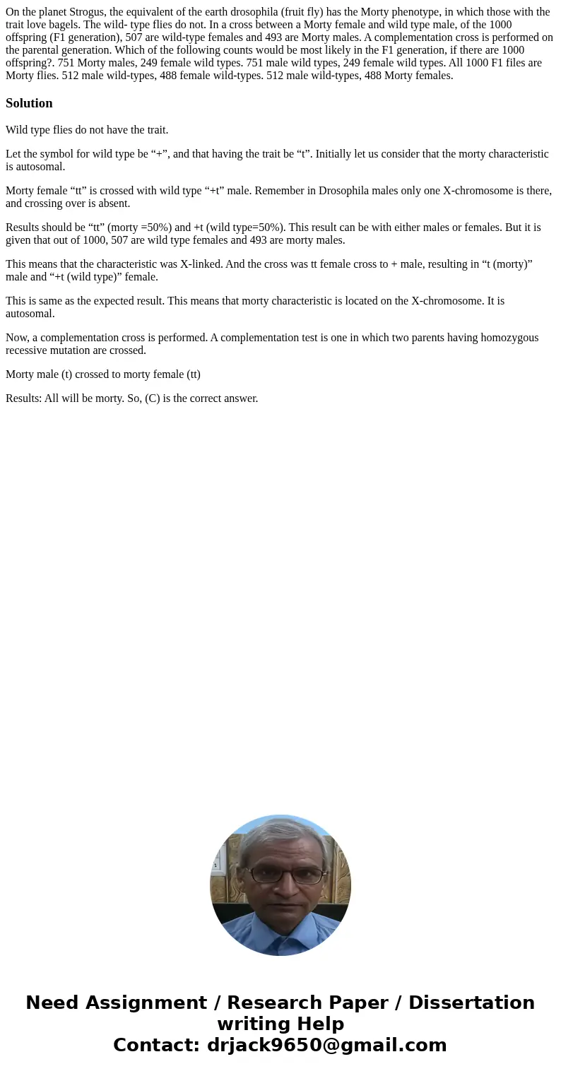 On the planet Strogus, the equivalent of the earth drosophila (fruit fly) has the Morty phenotype, in which those with the trait love bagels. The wild- type fl  On the planet Strogus, the equivalent of the earth drosophila (fruit fly) has the Morty phenotype, in which those with the trait love bagels. The wild- type fl