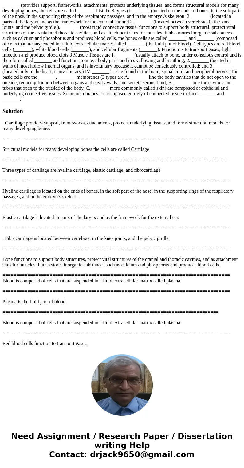 _______ (provides support, frameworks, attachments, protects underlying tissues, and forms structural models for many developing bones, the cells are called __  _______ (provides support, frameworks, attachments, protects underlying tissues, and forms structural models for many developing bones, the cells are called __